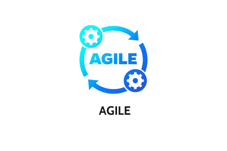 Agile software development