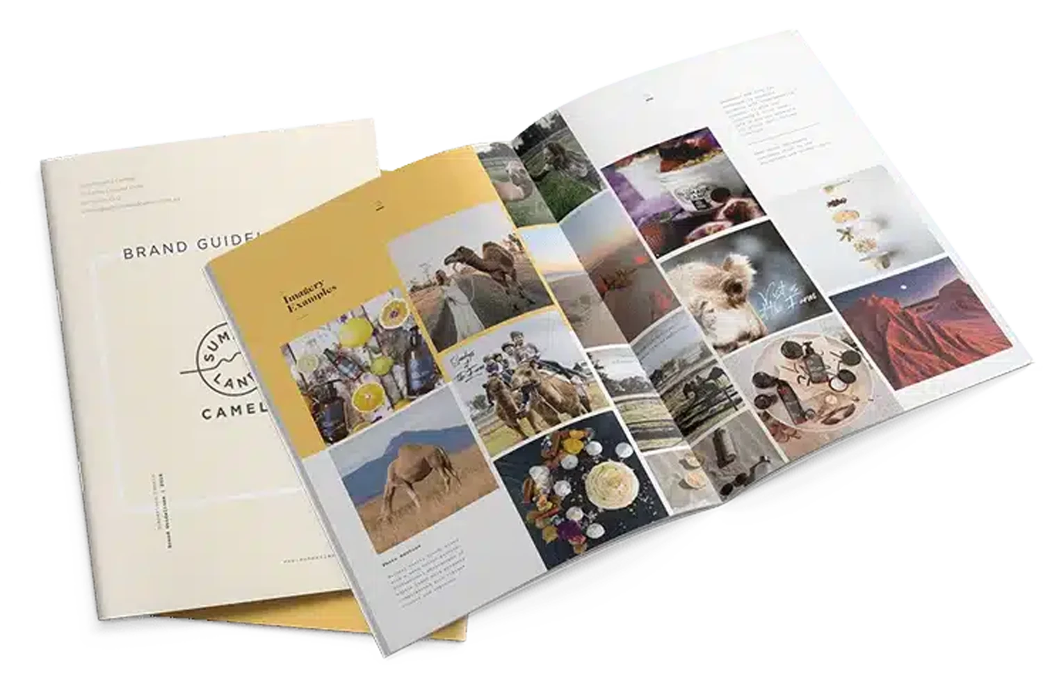 Placeholder image